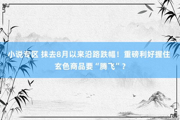 小说专区 抹去8月以来沿路跌幅！重磅利好握住 玄色商品要“腾飞”？