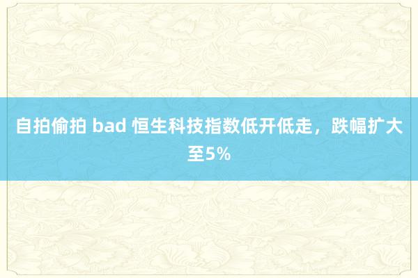 自拍偷拍 bad 恒生科技指数低开低走，跌幅扩大至5%