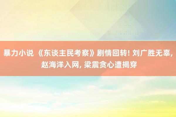 暴力小说 《东谈主民考察》剧情回转! 刘广胜无辜， 赵海洋入网， 梁震贪心遭揭穿