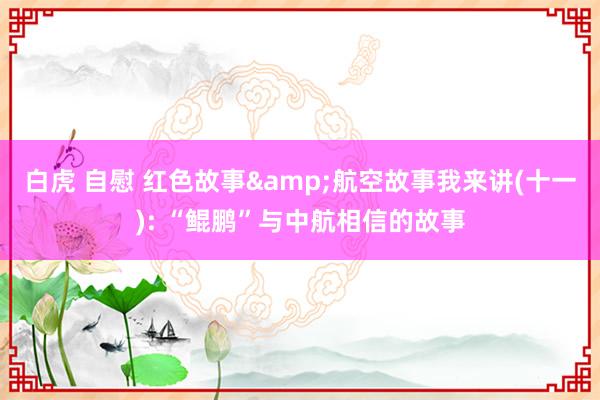 白虎 自慰 红色故事&航空故事我来讲(十一): “鲲鹏”与中航相信的故事