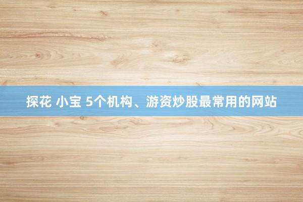 探花 小宝 5个机构、游资炒股最常用的网站