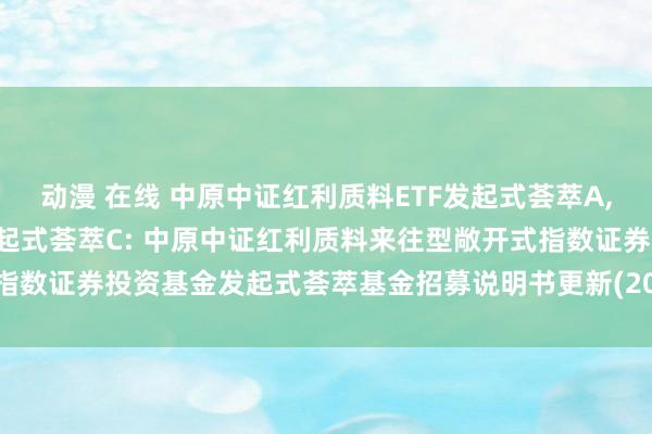 动漫 在线 中原中证红利质料ETF发起式荟萃A,中原中证红利质料ETF发起式荟萃C: 中原中证红利质料来往型敞开式指数证券投资基金发起式荟萃基金招募说明书更新(2024年11月28日公告)