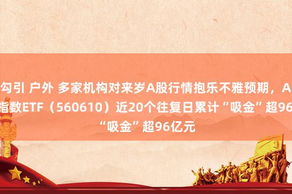 勾引 户外 多家机构对来岁A股行情抱乐不雅预期，A500指数ETF（560610）近20个往复日累计“吸金”超96亿元