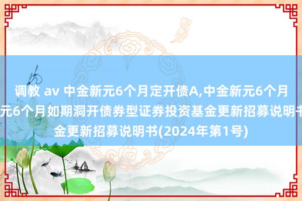 调教 av 中金新元6个月定开债A,中金新元6个月定开债C: 中金新元6个月如期洞开债券型证券投资基金更新招募说明书(2024年第1号)