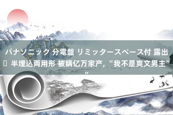 パナソニック 分電盤 リミッタースペース付 露出・半埋込両用形 被瞒亿万家产， “我不是爽文男主”