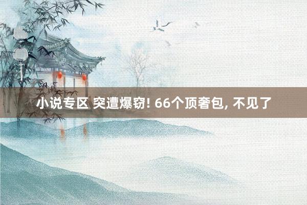 小说专区 突遭爆窃! 66个顶奢包， 不见了
