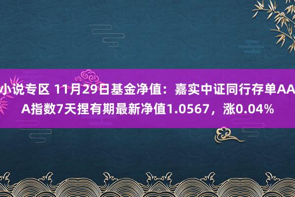 小说专区 11月29日基金净值：嘉实中证同行存单AAA指数7天捏有期最新净值1.0567，涨0.04%