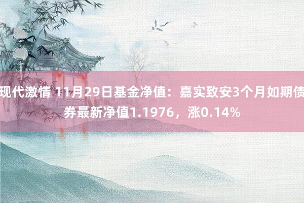 现代激情 11月29日基金净值：嘉实致安3个月如期债券最新净值1.1976，涨0.14%
