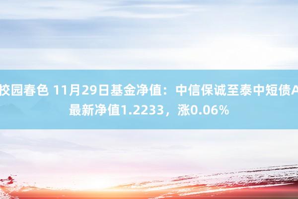 校园春色 11月29日基金净值：中信保诚至泰中短债A最新净值1.2233，涨0.06%