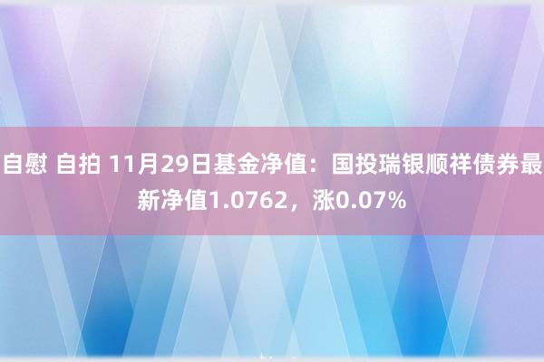 自慰 自拍 11月29日基金净值：国投瑞银顺祥债券最新净值1.0762，涨0.07%