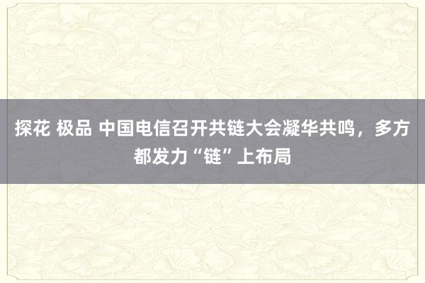探花 极品 中国电信召开共链大会凝华共鸣，多方都发力“链”上布局
