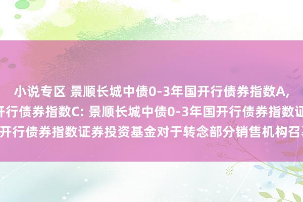 小说专区 景顺长城中债0-3年国开行债券指数A,景顺长城中债0-3年国开行债券指数C: 景顺长城中债0-3年国开行债券指数证券投资基金对于转念部分销售机构召募时分的公告