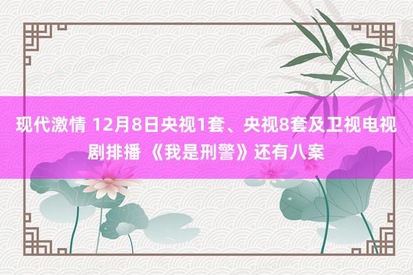 现代激情 12月8日央视1套、央视8套及卫视电视剧排播 《我是刑警》还有八案
