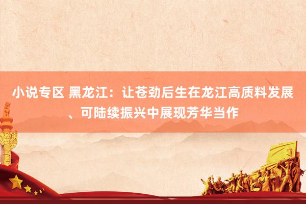 小说专区 黑龙江：让苍劲后生在龙江高质料发展、可陆续振兴中展现芳华当作