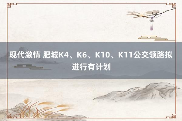 现代激情 肥城K4、K6、K10、K11公交领路拟进行有计划