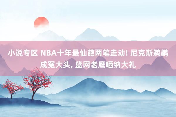 小说专区 NBA十年最仙葩两笔走动! 尼克斯鹈鹕成冤大头， 篮网老鹰哂纳大礼