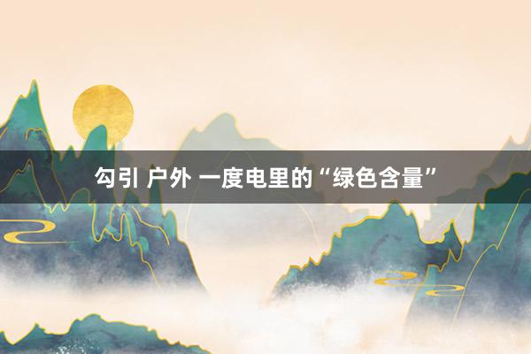 勾引 户外 一度电里的“绿色含量”