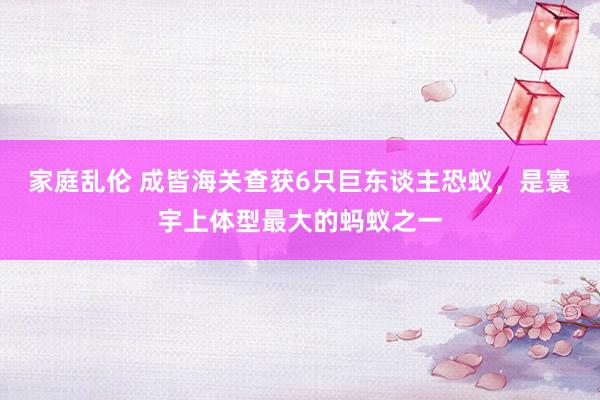 家庭乱伦 成皆海关查获6只巨东谈主恐蚁，是寰宇上体型最大的蚂蚁之一
