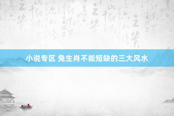 小说专区 兔生肖不能短缺的三大风水