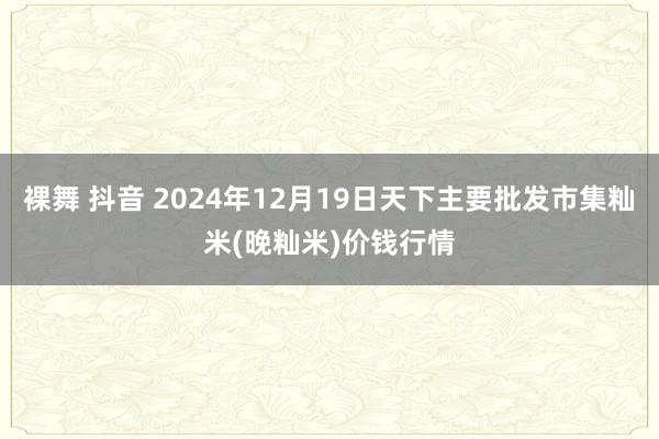 裸舞 抖音 2024年12月19日天下主要批发市集籼米(晚籼米)价钱行情
