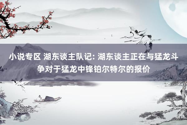 小说专区 湖东谈主队记: 湖东谈主正在与猛龙斗争对于猛龙中锋铂尔特尔的报价