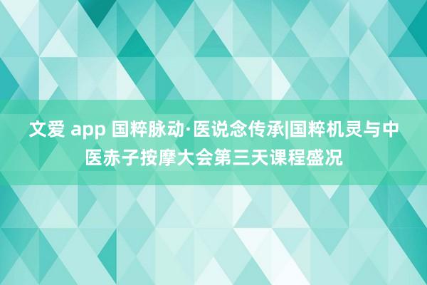 文爱 app 国粹脉动·医说念传承|国粹机灵与中医赤子按摩大会第三天课程盛况