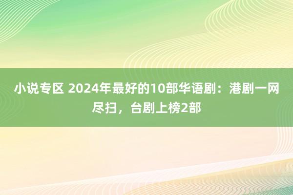 小说专区 2024年最好的10部华语剧：港剧一网尽扫，台剧上榜2部