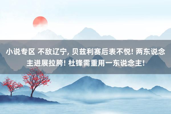 小说专区 不敌辽宁， 贝兹利赛后表不悦! 两东说念主进展拉胯! 杜锋需重用一东说念主!