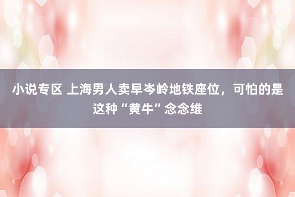 小说专区 上海男人卖早岑岭地铁座位，可怕的是这种“黄牛”念念维