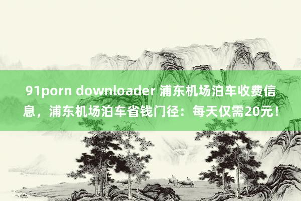 91porn downloader 浦东机场泊车收费信息，浦东机场泊车省钱门径：每天仅需20元！