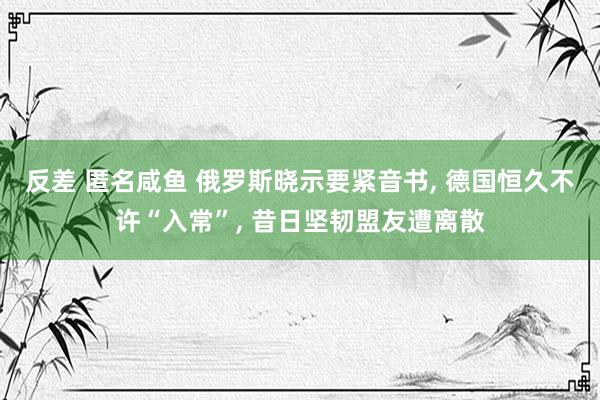 反差 匿名咸鱼 俄罗斯晓示要紧音书， 德国恒久不许“入常”， 昔日坚韧盟友遭离散