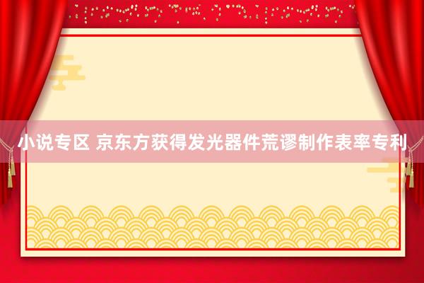小说专区 京东方获得发光器件荒谬制作表率专利