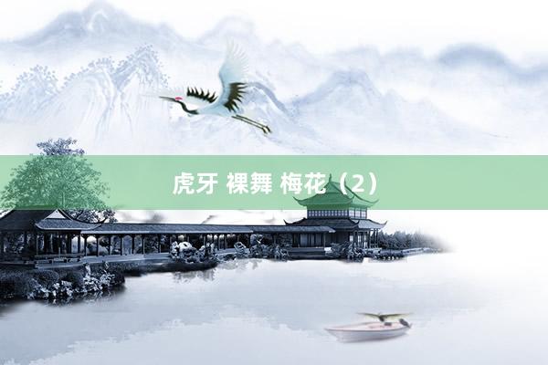 虎牙 裸舞 梅花（2）