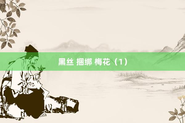 黑丝 捆绑 梅花（1）