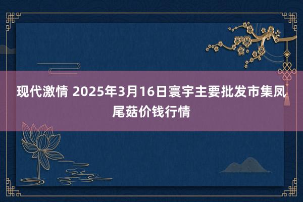 现代激情 2025年3月16日寰宇主要批发市集凤尾菇价钱行情
