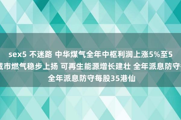 sex5 不迷路 中华煤气全年中枢利润上涨5%至59.55亿元 城市燃气稳步上扬 可再生能源增长建壮 全年派息防守每股35港仙
