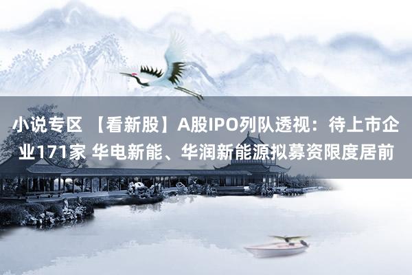 小说专区 【看新股】A股IPO列队透视：待上市企业171家 华电新能、华润新能源拟募资限度居前