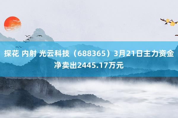 探花 内射 光云科技（688365）3月21日主力资金净卖出2445.17万元