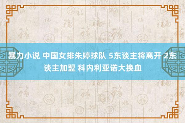 暴力小说 中国女排朱婷球队 5东谈主将离开 2东谈主加盟 科内利亚诺大换血