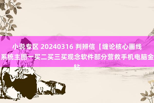 小说专区 20240316 判辨信【缠论核心画线】系统主图一买二买三买观念软件部分营救手机电脑金钻