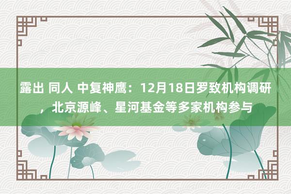 露出 同人 中复神鹰：12月18日罗致机构调研，北京源峰、星河基金等多家机构参与