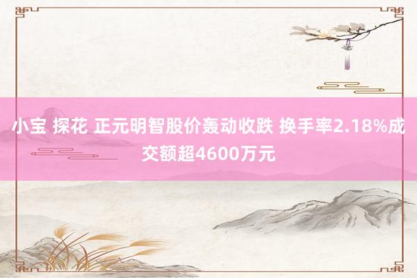 小宝 探花 正元明智股价轰动收跌 换手率2.18%成交额超4600万元