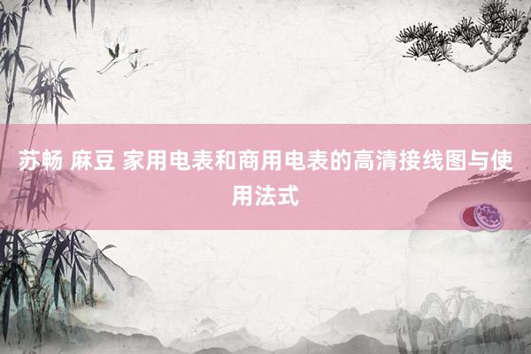 苏畅 麻豆 家用电表和商用电表的高清接线图与使用法式