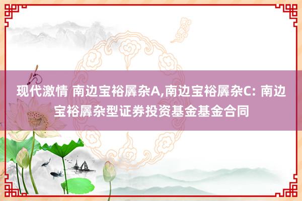 现代激情 南边宝裕羼杂A，南边宝裕羼杂C: 南边宝裕羼杂型证券投资基金基金合同
