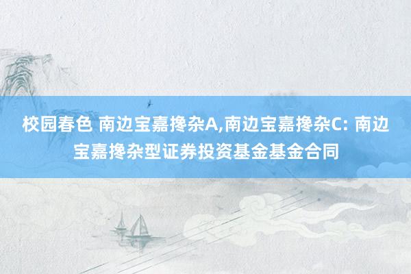 校园春色 南边宝嘉搀杂A,南边宝嘉搀杂C: 南边宝嘉搀杂型证券投资基金基金合同