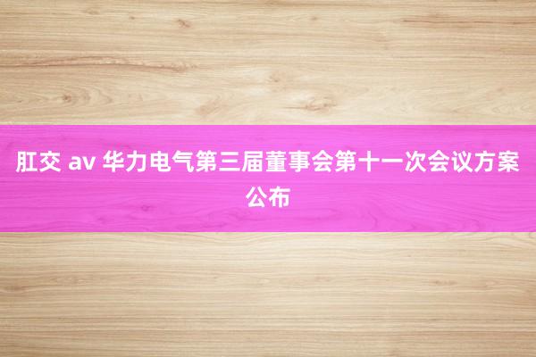 肛交 av 华力电气第三届董事会第十一次会议方案公布