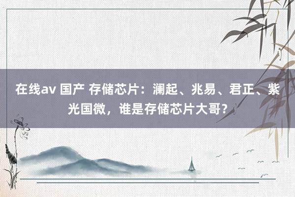 在线av 国产 存储芯片：澜起、兆易、君正、紫光国微，谁是存储芯片大哥？