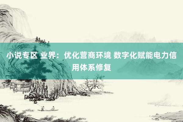 小说专区 业界：优化营商环境 数字化赋能电力信用体系修复