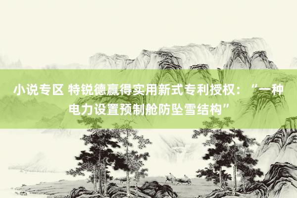 小说专区 特锐德赢得实用新式专利授权：“一种电力设置预制舱防坠雪结构”