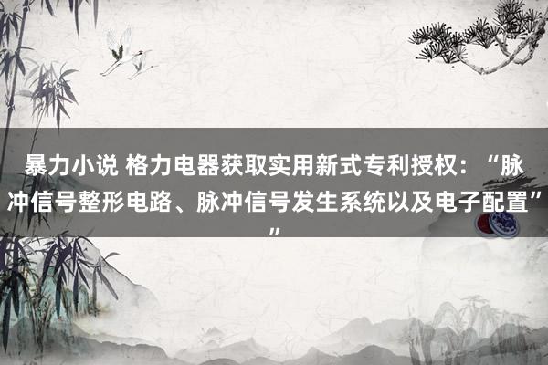 暴力小说 格力电器获取实用新式专利授权：“脉冲信号整形电路、脉冲信号发生系统以及电子配置”
